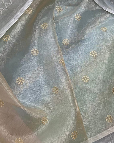 Organza silk saree with embroidery Aqua Blue Floral Zari Saree | Glow & Glitter Boutique