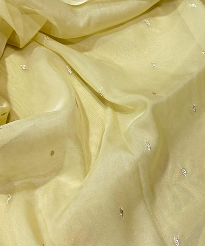 Organza silk saree with full embroidery Light Pastel Pistachio Shade | Glow & Glitter Boutique