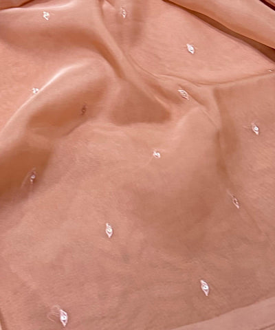 Organza silk saree with full embroidery Biscuit Shade | Glow & Glitter Boutique