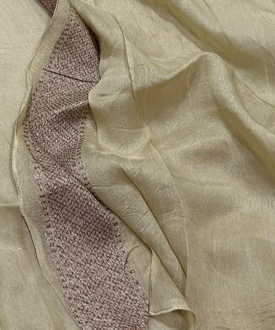 Tussar Silk Saree Warm Ivory Shade with Border Less | Glow & Glitter Boutique