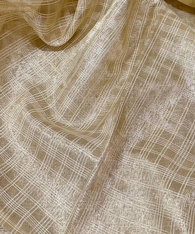 Tissue silk saree with full embroidery Ivory Shade | Glow & Glitter Boutique