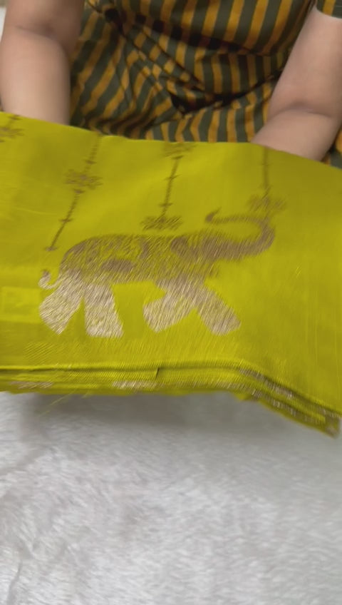E-Tussar silk saree Lemon green Shade | Glow & Glitter Boutique